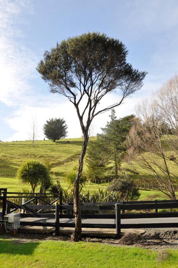 Matapouri & Tutukaka Spectacular Coastal Views- Aroha Luxury Guest Suite Eksteriør billede